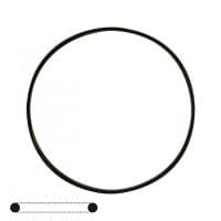 Gaskets for watches